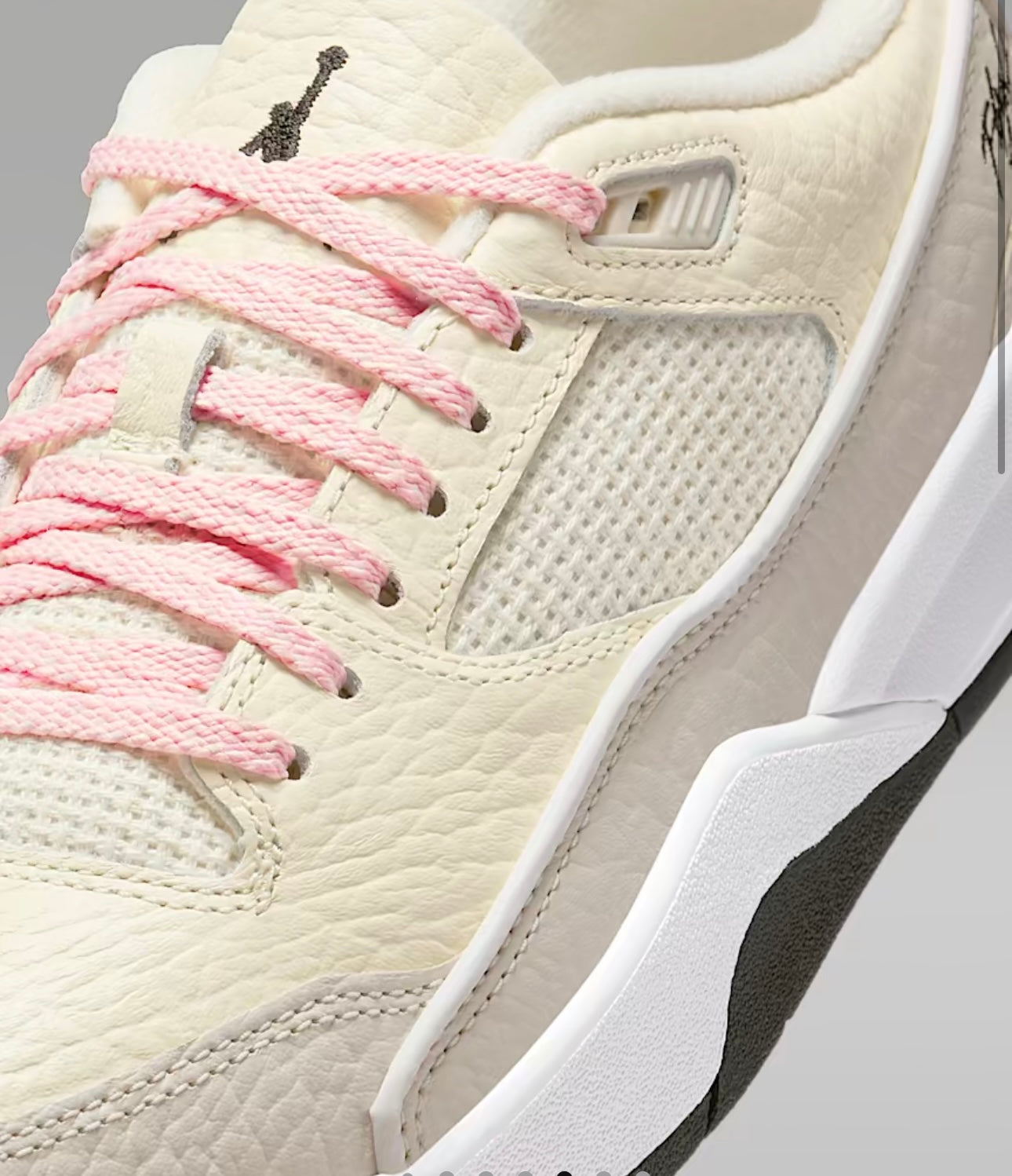 Jordan flight court